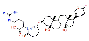3-(N-Glutaryl argininyl)-telocinobufagin